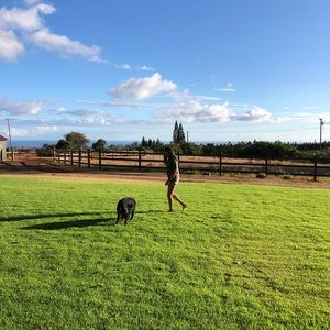 Meet your Posher, Cameron